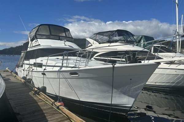 1991 Bayliner 3888