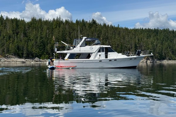 1994 Bayliner 4788 Pilot House Motoryacht