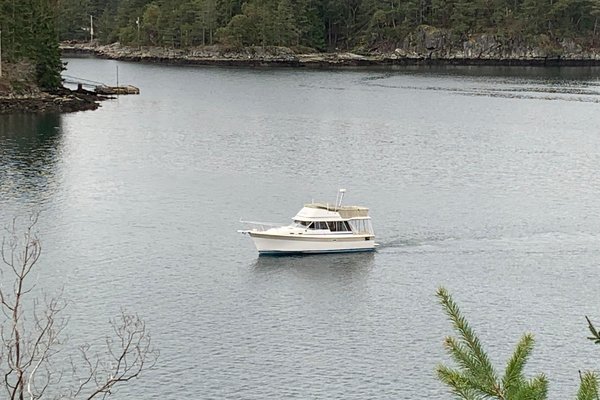 1984 Bayliner 3270 Explorer