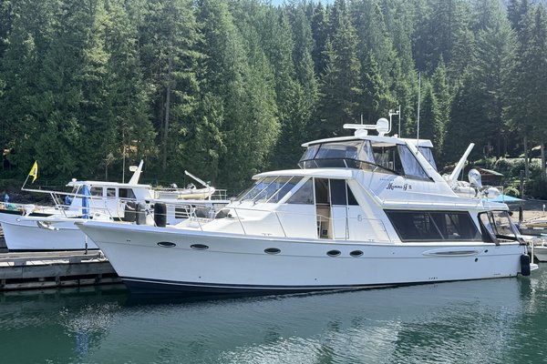 2007 Meridian Meridian 490