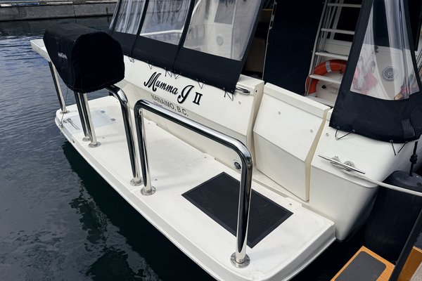 2007 Meridian Meridian 490
