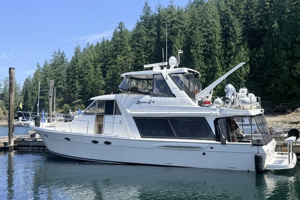 2007 Meridian Meridian 490