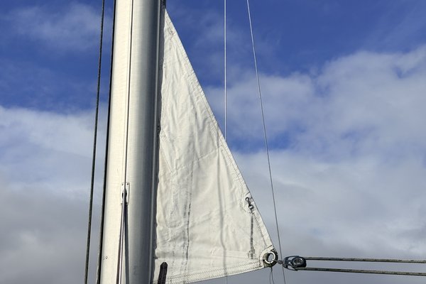 1982 Sceptre 41 