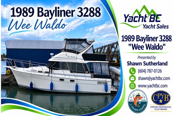 1989 Bayliner 3288